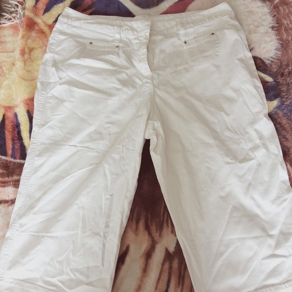 LARRY LEVINE SHORTS! AMAZING!